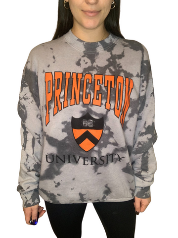 Princeton University