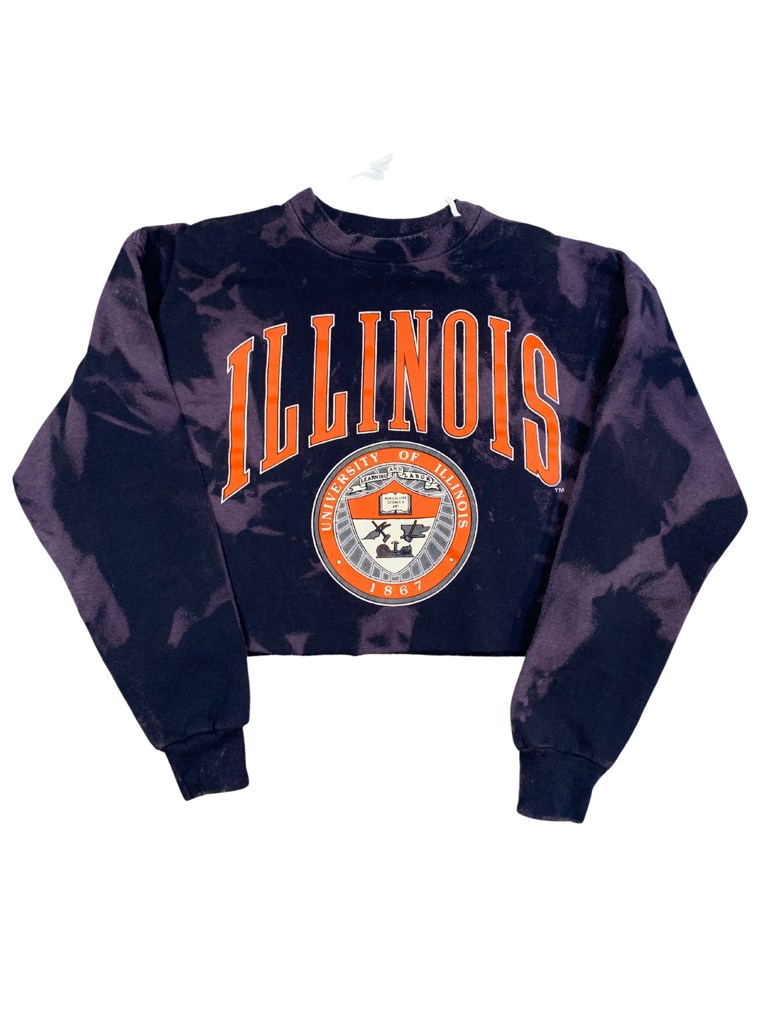 Vintage University of Illinois Cropped Bleached Sweatshirt – Kampus Kustoms