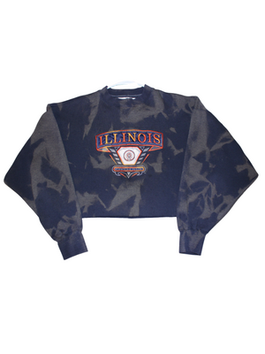 Vintage University of Illinois Bleached and Cropped Sweatshirt