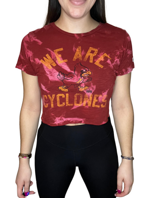 Iowa State Cropped & Bleached Shirt